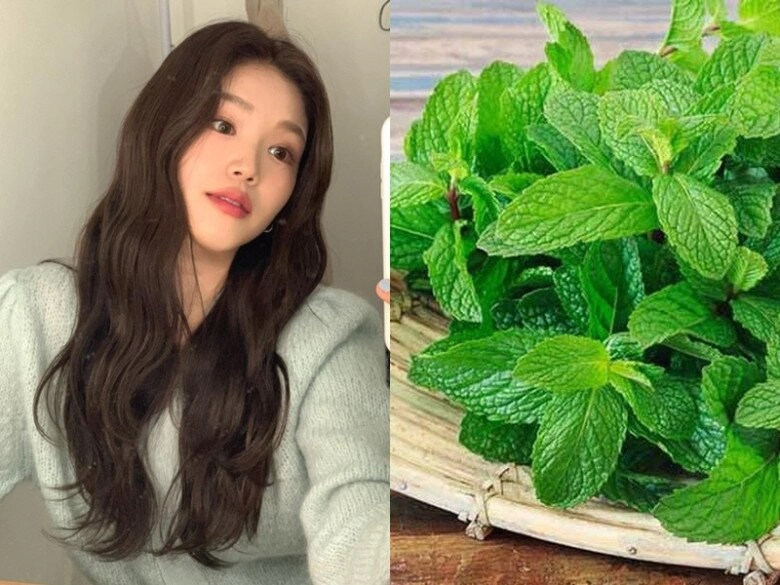 Loại lá gia vị nhỏ xíu có khả năng chống rụng tóc mạnh mẽ dưỡng chân tóc chắc khỏe khiến gàu lâu năm cũng biến mất - 3