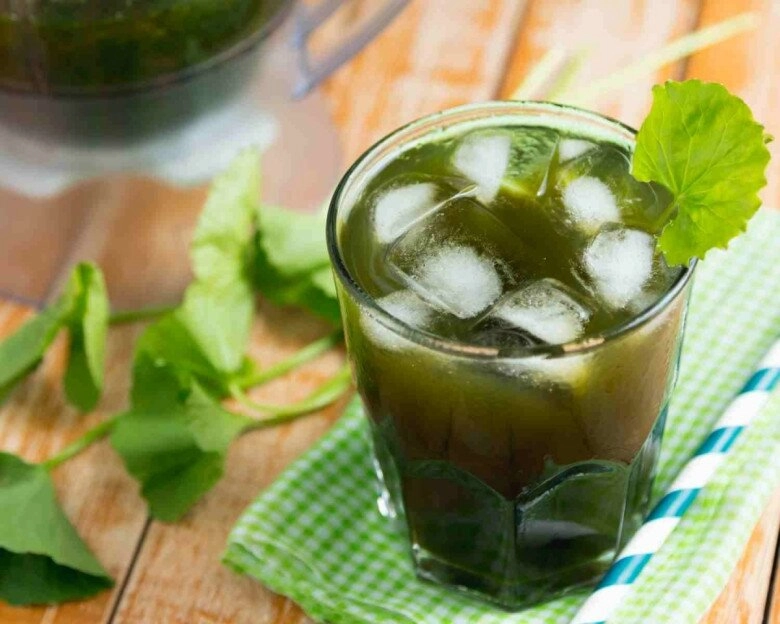 Loại rau mọc đầy ngoài vườn là kem chống nắng tự nhiên giúp tăng sinh collagen cân nặng giảm không phanh - 3