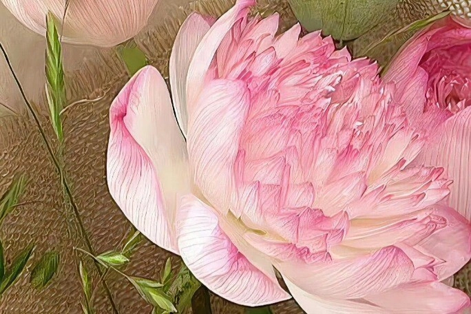 Trắc nghiệm bạn thích loài hoa nào nhất điều đó tiết lộ bạn là nữ thần như thế nào trong mắt đàn ông - 3