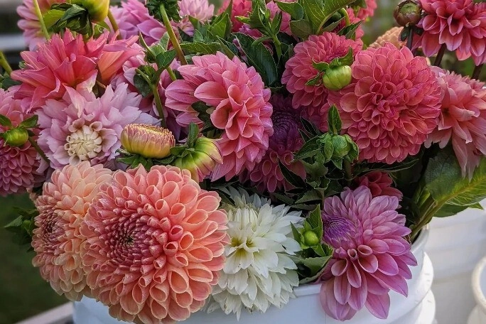 Trắc nghiệm bạn thích loài hoa nào nhất điều đó tiết lộ bạn là nữ thần như thế nào trong mắt đàn ông - 4