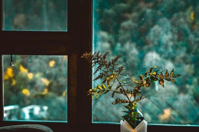 Trắc nghiệm cánh cửa bạn mở sẽ dẫn bạn đến cuộc hôn nhân như thế nào ngọt ngào hay bão giông - 2