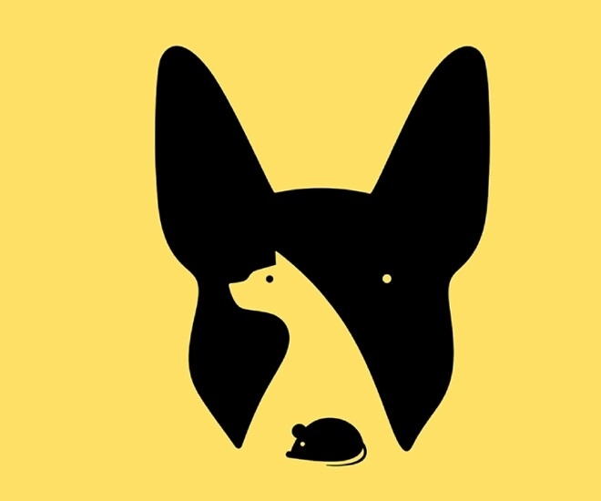 Trắc nghiệm hình ảnh đầu tiên bạn nhìn thấy là gì câu trả lời tiết lộ mức độ nhạy - 1