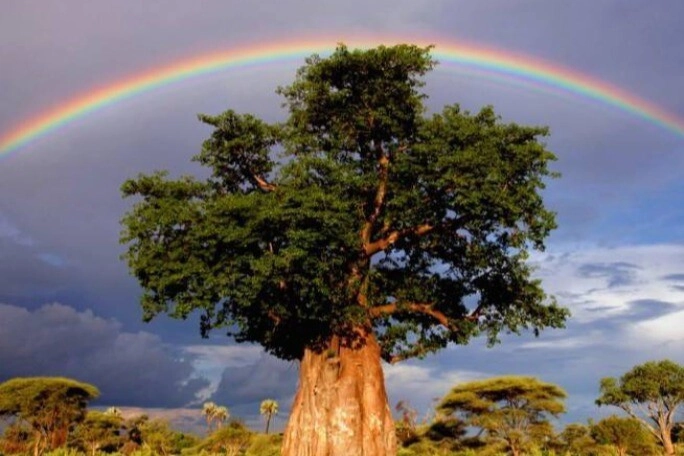 Trắc nghiệm tình yêu cuối năm của bạn sẽ ngọt ngào hay bão giông chọn một dải cầu vồng để biết - 2