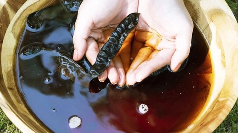 Từ chuyện puka rụng tóc cả nắm sau sinh dân tình chỉ ngay 5 bí quyết dân gian giúp mọc tóc từ loạt thần dược vừa rẻ vừa hiệu quả - 2