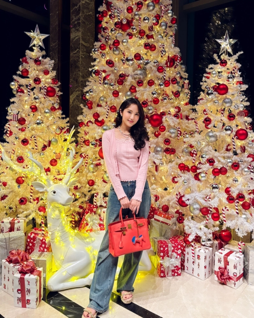 Vợ phan thành xách túi 600 triệu đồng đi du lịch - 4