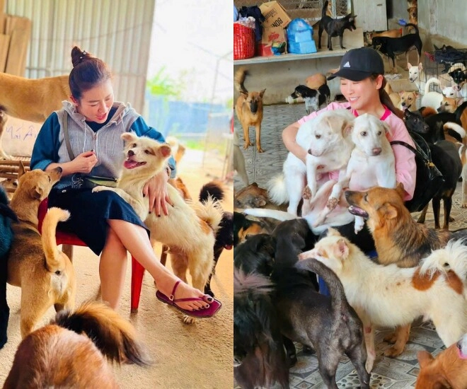 2 sao nữ vbiz cưu mang chó mèo hoang người xây trang trại 1000m2 làm nơi ở người mang đầy vết thương - 1