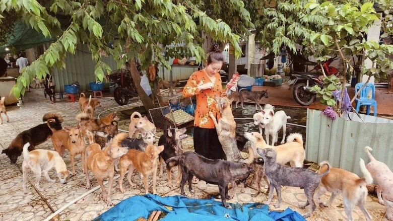 2 sao nữ vbiz cưu mang chó mèo hoang người xây trang trại 1000m2 làm nơi ở người mang đầy vết thương - 2