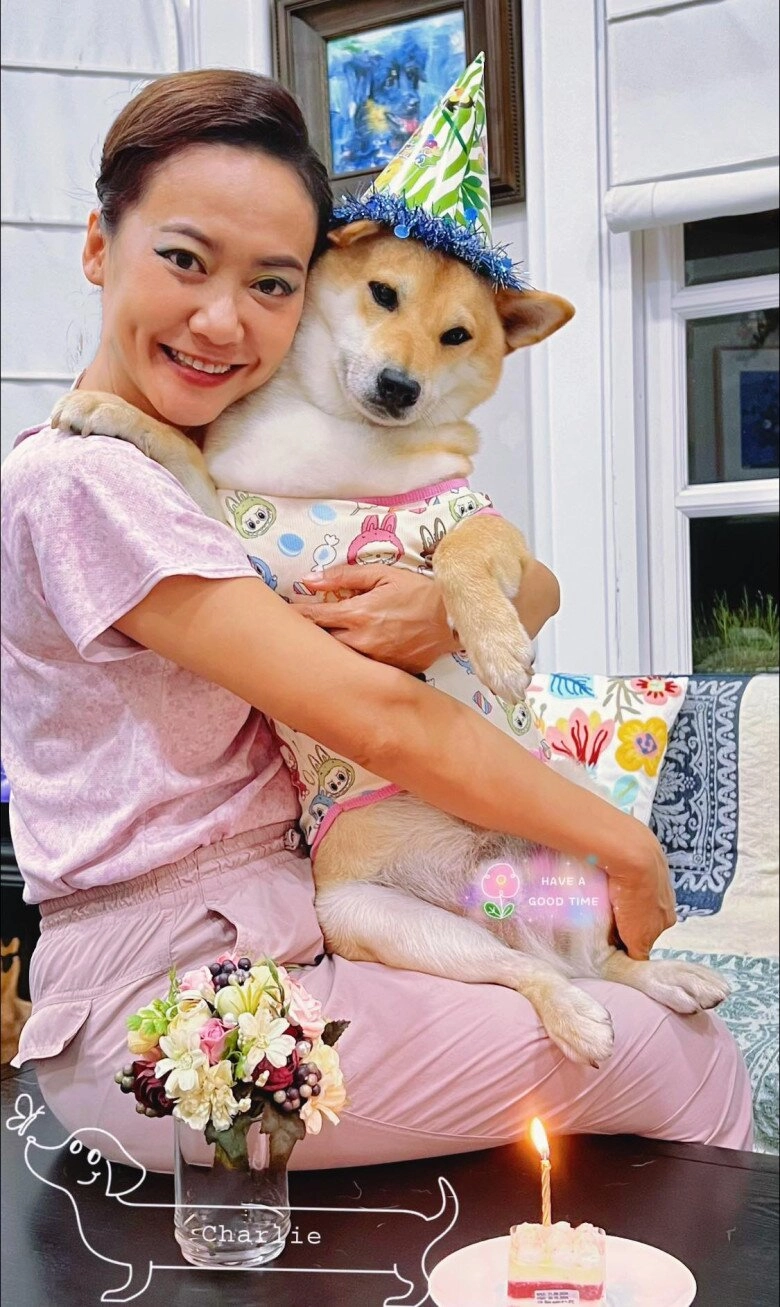 2 sao nữ vbiz cưu mang chó mèo hoang người xây trang trại 1000m2 làm nơi ở người mang đầy vết thương - 10