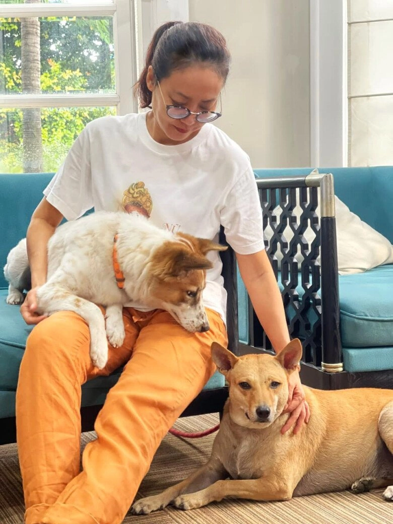 2 sao nữ vbiz cưu mang chó mèo hoang người xây trang trại 1000m2 làm nơi ở người mang đầy vết thương - 11