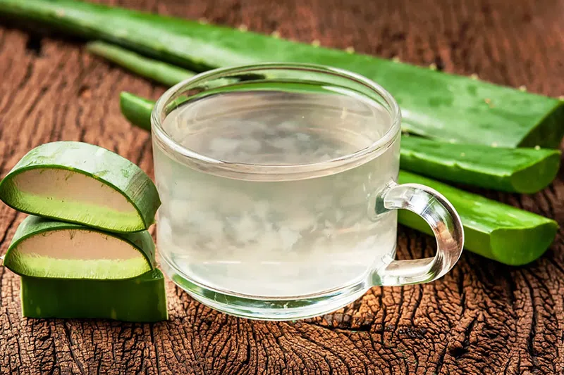 7 thực phẩm là serum tự nhiên giúp da như được tưới ẩm mỗi ngày loại số 3 trồng đầy ngoài vườn - 5