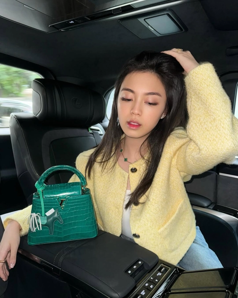 Em dâu thiếu gia phan thành mỗi ngày một túi xa xỉ - 8