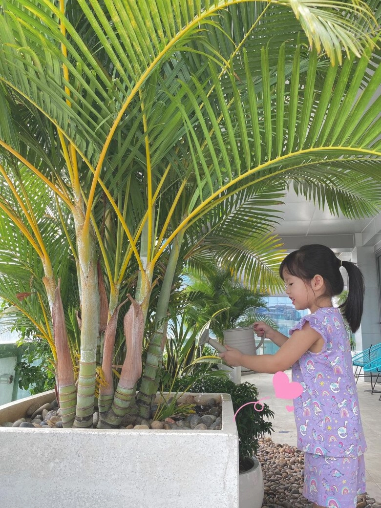 Hoa hậu đặng thu thảo khoe bình rượu mơ chăm học tập tiểu thư hào môn hưởng nguyên nét đẹp thần tiên tỷ tỷ từ mẹ - 4