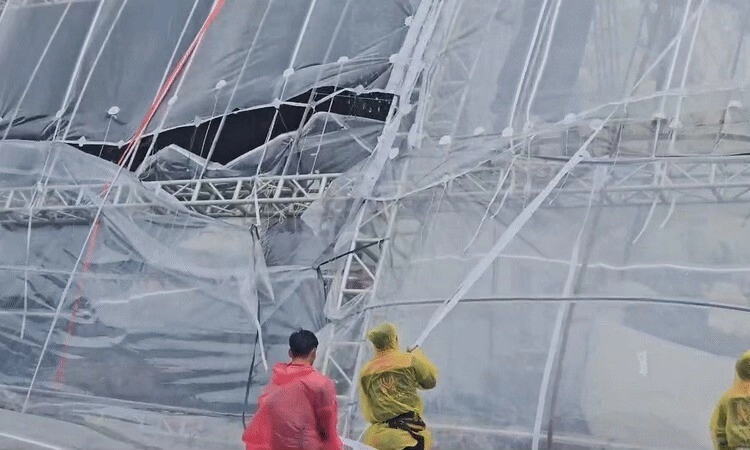 Xúc động khoảnh khắc bố ruột đỗ thị hà khập khiễng dắt ái nữ lên lễ đường trao tận tay cho con rể thiếu gia - 14