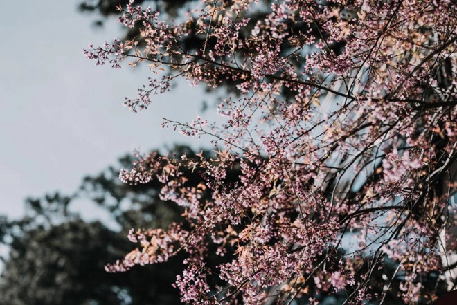 Khi chuyện tình yêu lãng mạn bật nhất vbiz được đưa vào những thiết kế đậm chất retro - 2