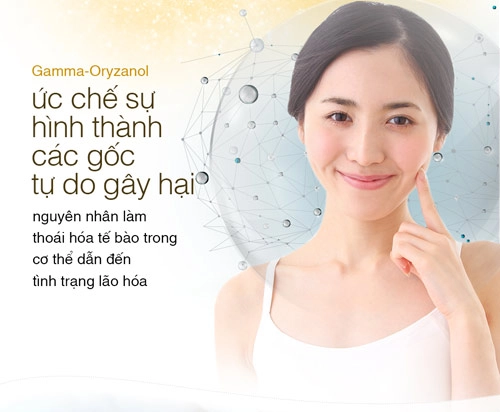Gamma-oryzanol dưỡng chất vàng cho phái đẹp - 2