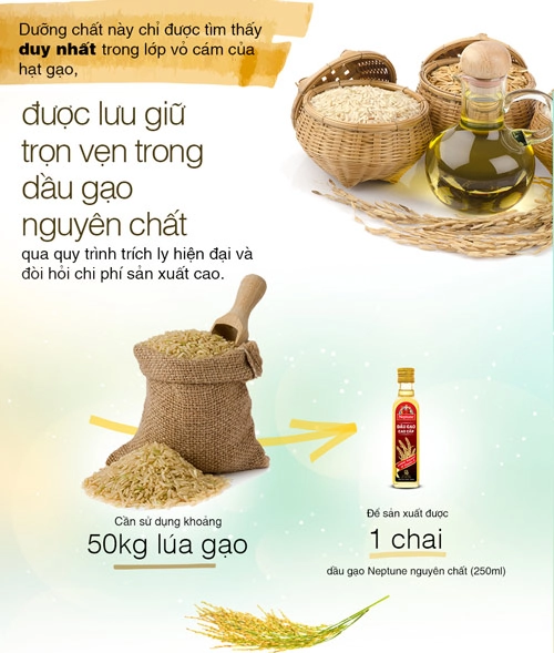 Gamma-oryzanol dưỡng chất vàng cho phái đẹp - 4
