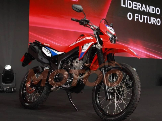 Honda ra mắt tornado 300 2026 special edition với giao diện cực cuốn theo phong cách dakar rall - 4