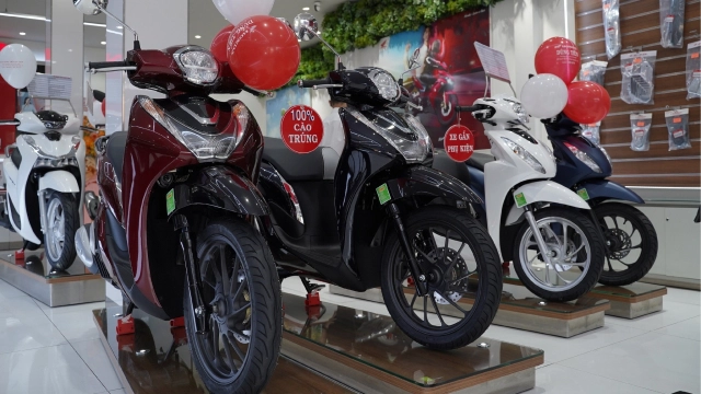 Năm mới đầy khởi sắc với chương trình khuyến mại rinh lộc năm mới hứng khởi du xuân - 5