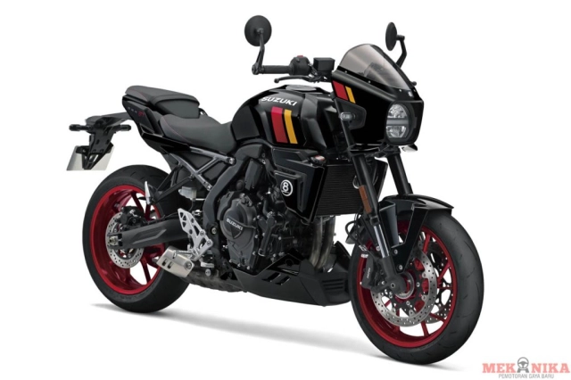 Suzuki gsx-8t - 6